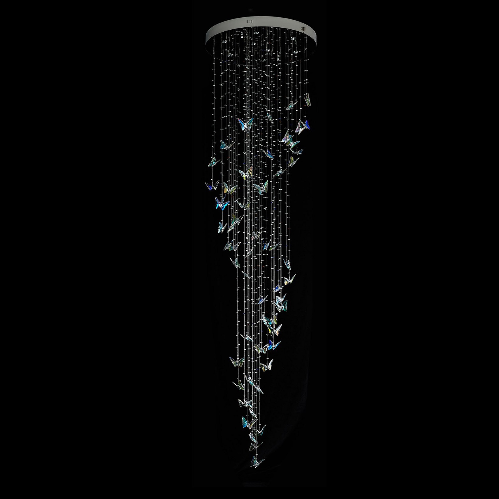 hover image